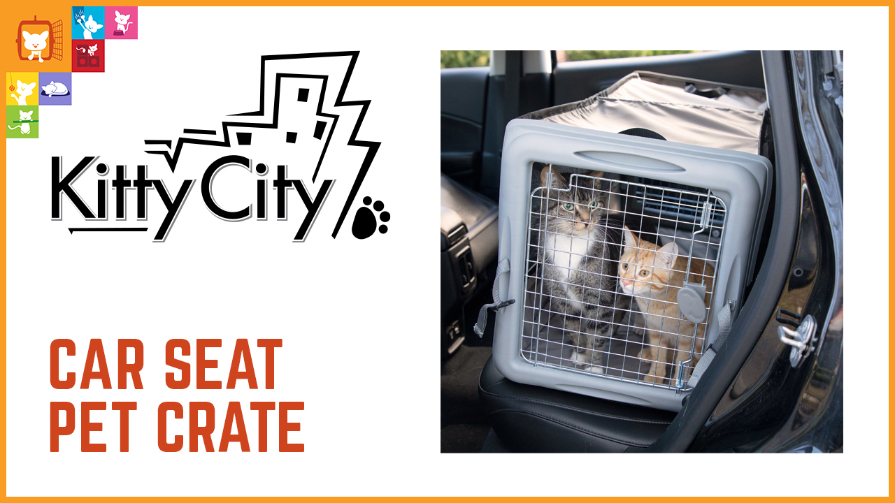 Car Seat Pet Crate Video