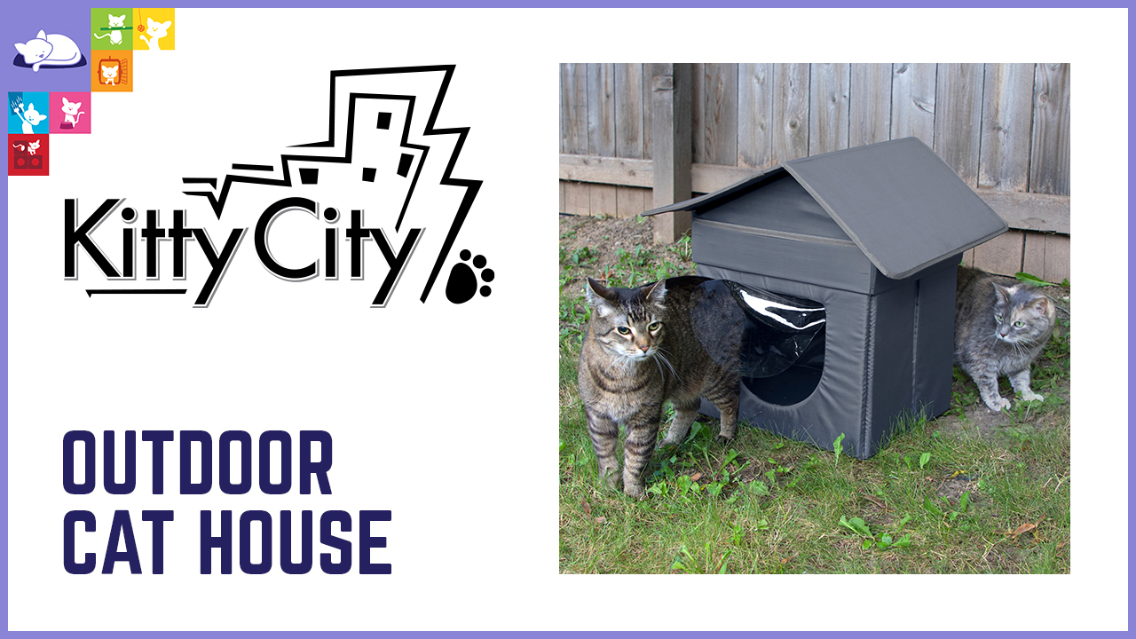 Outdoor Cat House Video