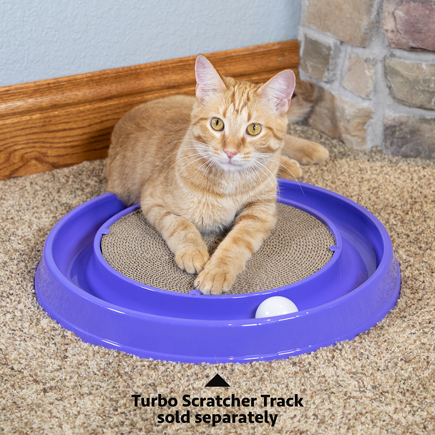 Kitty City Scratch Items Turbo Scratcher